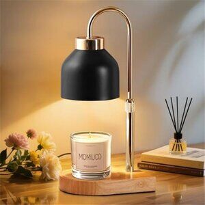 Candle Warmer Lamp Wax Melter Adjustable Timer Dimmer Glass Shade Wood Base